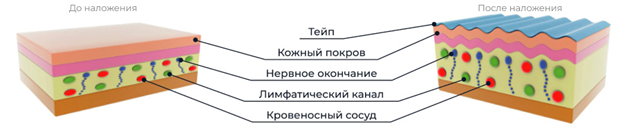 tape.png