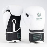 Перчатки боксерские Outlaw FX-500 Fight Expert