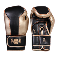Перчатки боксерские Gold Elite FLG-21 Flamma
