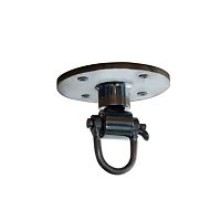 Крепление для пневмогруши Professional 4444U Everlast