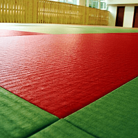Татами для дзюдо, 2*1 м, ПВВ, ПВХ, JUDO-ткань