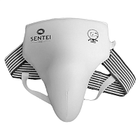 Защита паха 1851 ФВКР Sentei