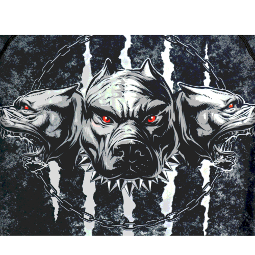 Рашгард с длинным рукавом Cerberus Rusco Sport фото 4