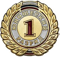 Значок юношеский разряд